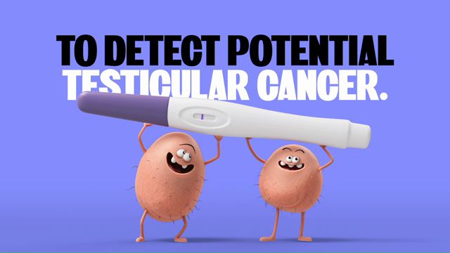 Caso - Test-icles