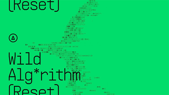 Caso - Wild Algorithm