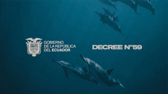 Decreto 59