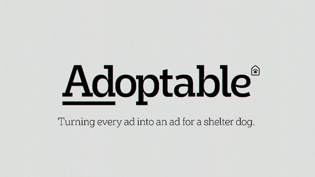 Adoptable by Pedigree
