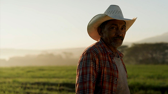 Heaven Fish (Cannes 2024)