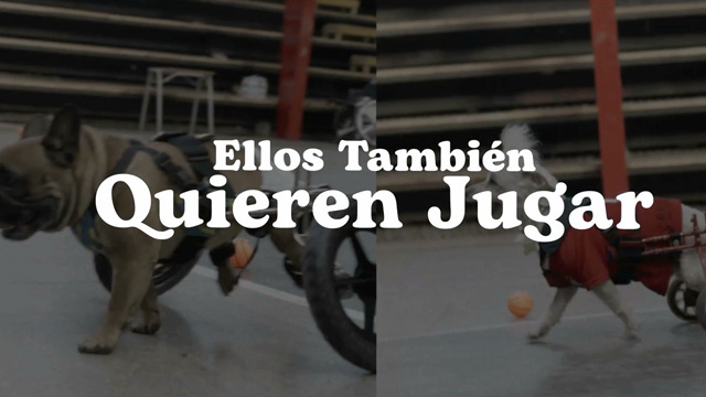 Ellos también quieren jugar