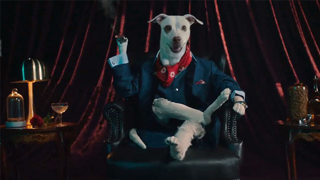 Sugar Doggies 1