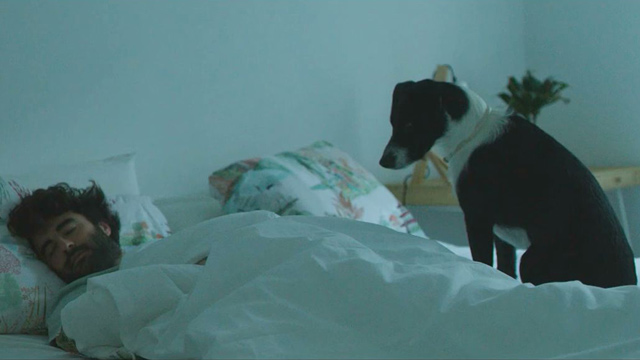 Tener un humano