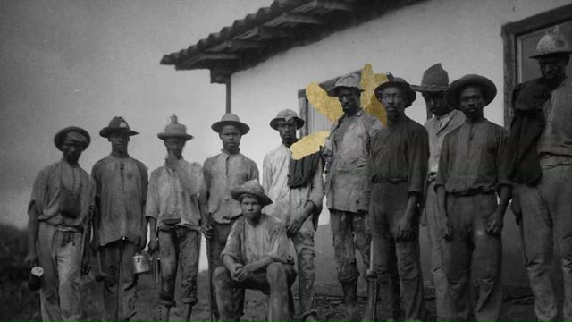 Raízes de Ouro