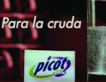 Chavas