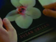 Lost / Adaptation