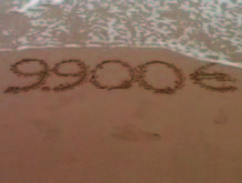 Playa / Palomas