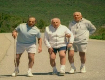 Viejos Amigos