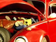 Beetle