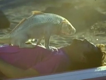 Perro Pez