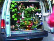 Natal Verde