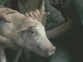 latintv image