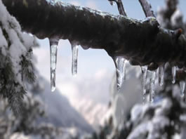 latintv image