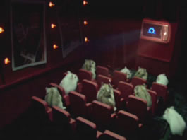 latintv image