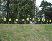 foto card