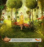 foto card