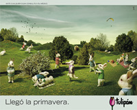 foto card