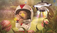 foto card