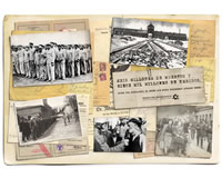 foto card