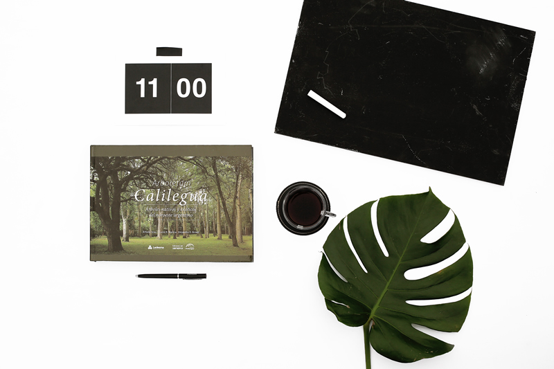foto card