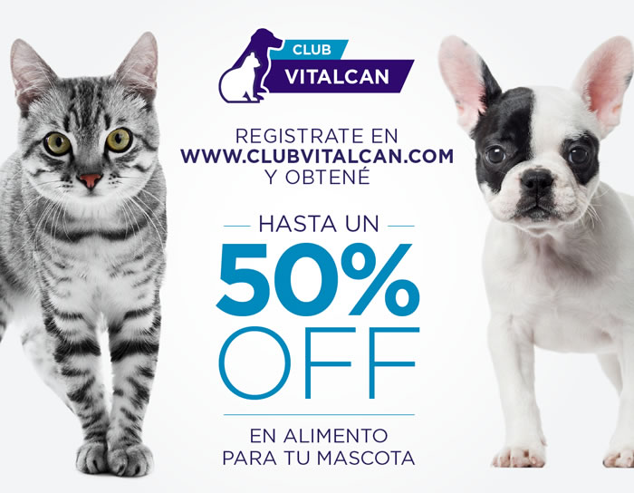 foto card