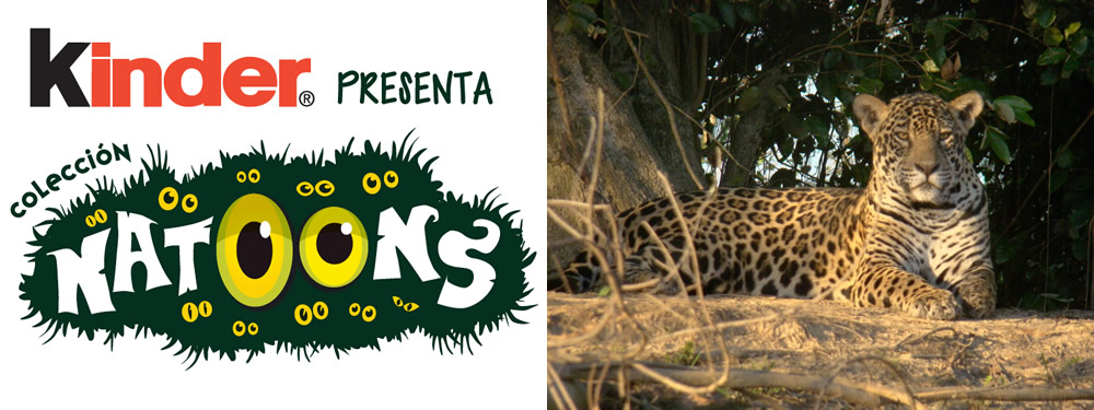 foto nota