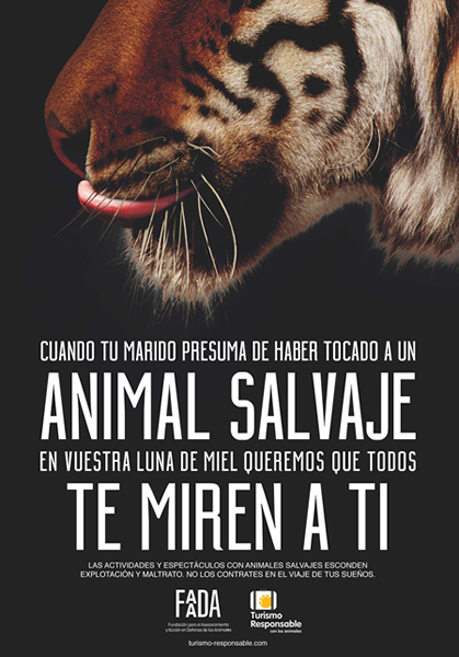 foto nota