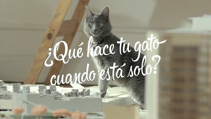 foto nota