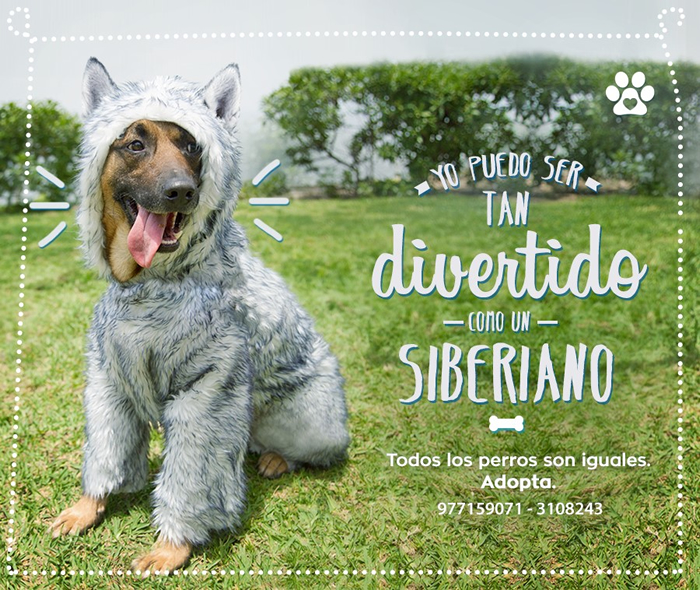 foto nota
