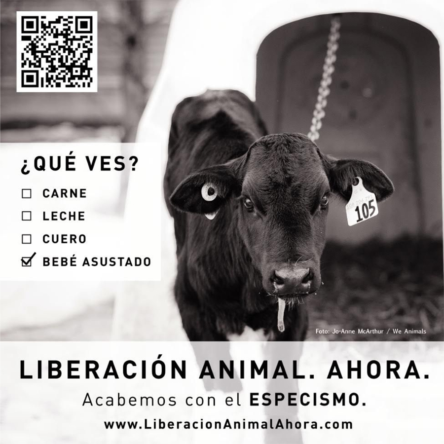 foto nota