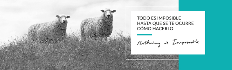 foto nota