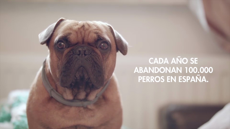 foto nota