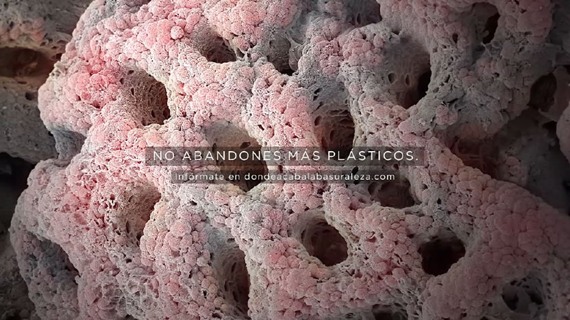 foto nota