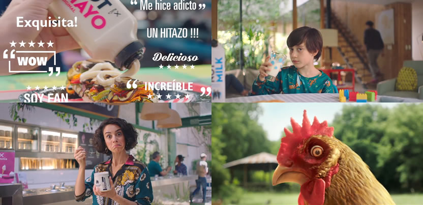 foto nota