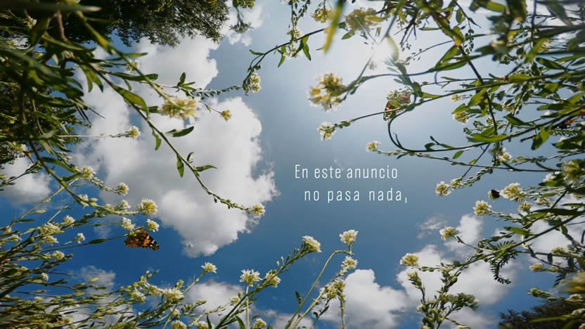 foto nota