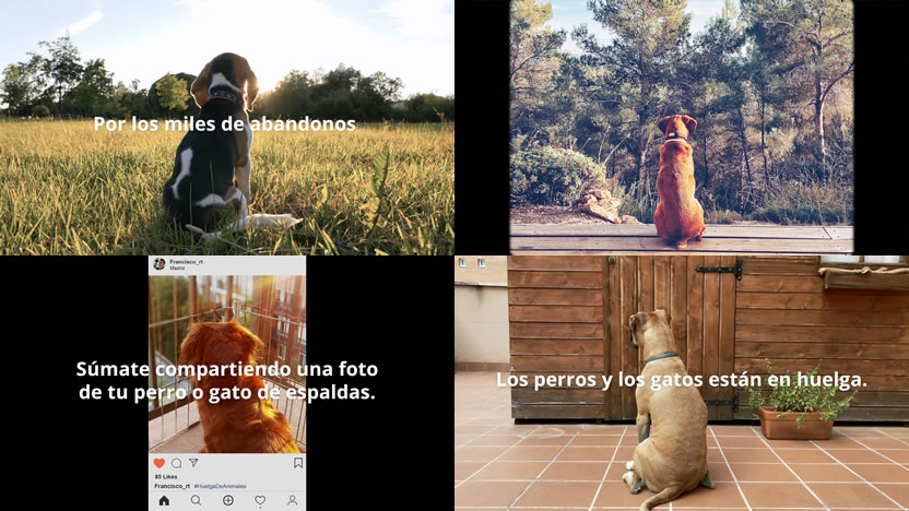 foto nota