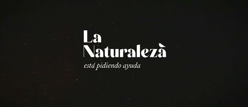 foto nota