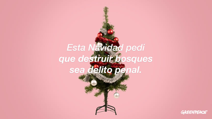 foto nota