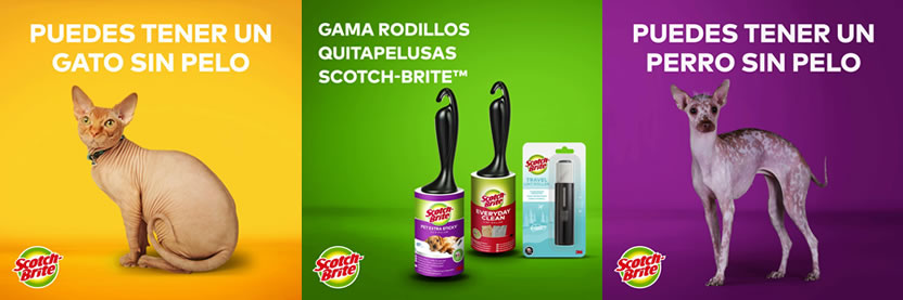 foto nota