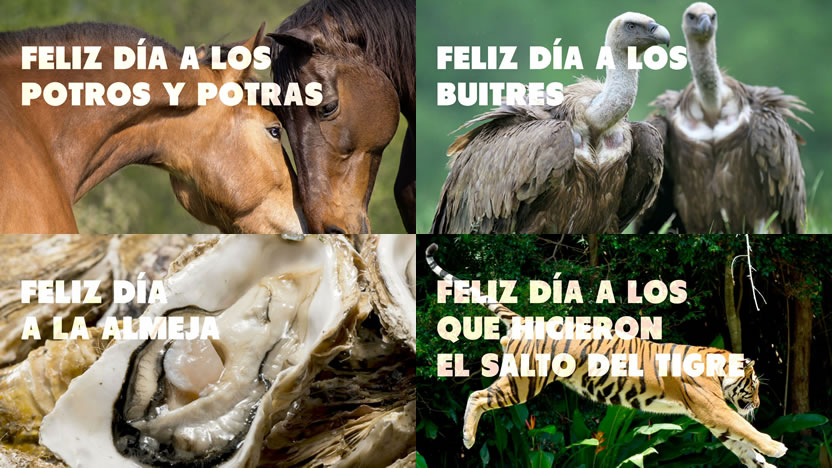 foto nota