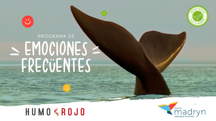 foto nota