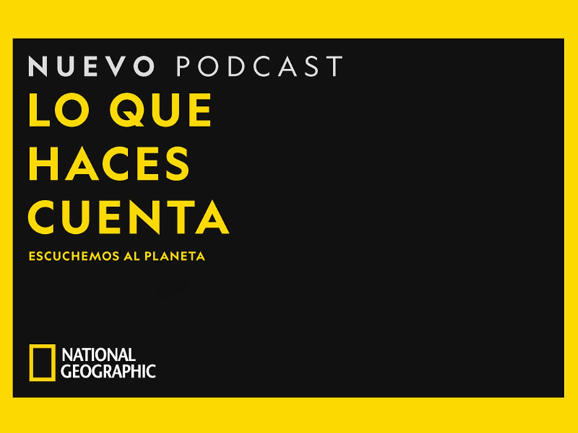 foto nota