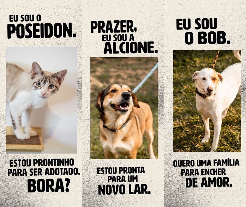 foto nota