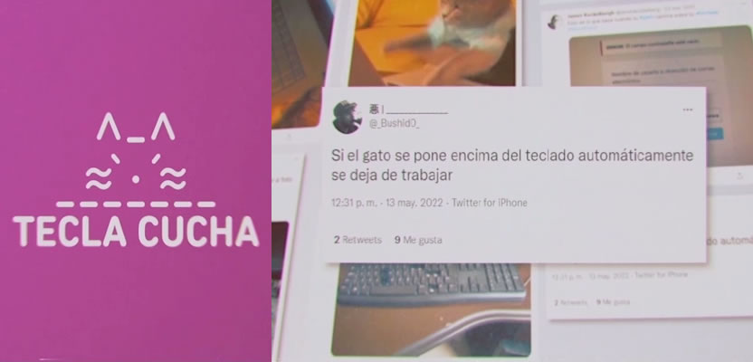 foto nota
