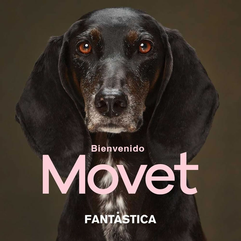 foto nota