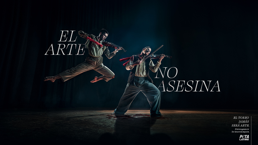 foto nota