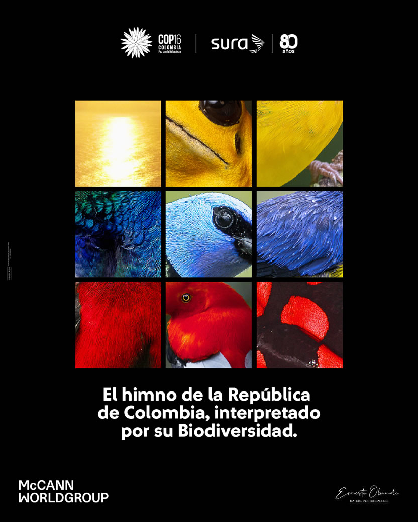 foto nota