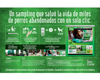foto card