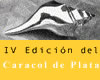 foto card